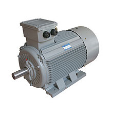 YE2系列高效率電動機(jī)
